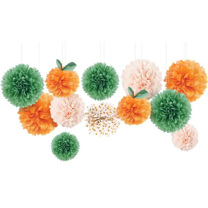 12 PCS Tissue Paper Pom Poms for Wedding Birthday Baby Shower Prom Festival Party