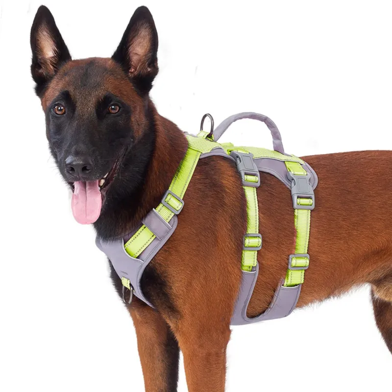 Reflective Dog Harness with Handle